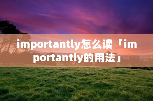 importantly怎么读「importantly的用法」