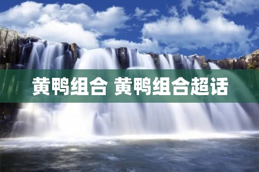 黄鸭组合 黄鸭组合超话