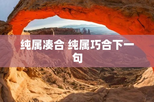 纯属凑合 纯属巧合下一句 纯属凑合 纯属巧合下一句