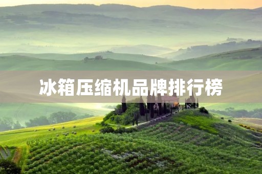 冰箱压缩机品牌排行榜：哪些品牌值得信赖？