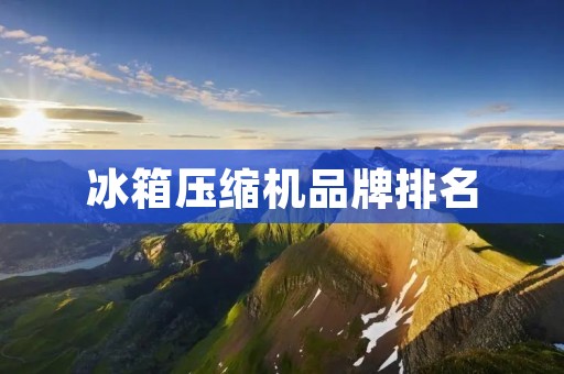 冰箱压缩机品牌排名
