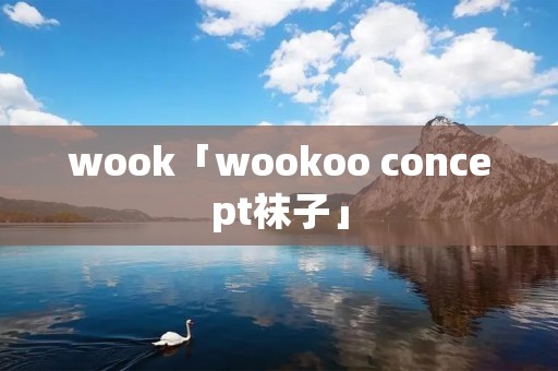 wook「wookoo concept袜子」 wook「wookoo concept袜子」