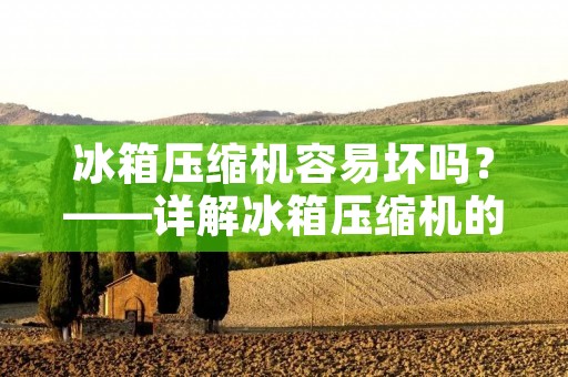冰箱压缩机容易坏吗？——详解冰箱压缩机的使用寿命与维护