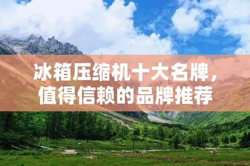 冰箱压缩机十大名牌，值得信赖的品牌推荐