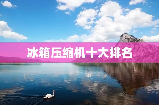 冰箱压缩机十大排名：哪些品牌更值得信赖？