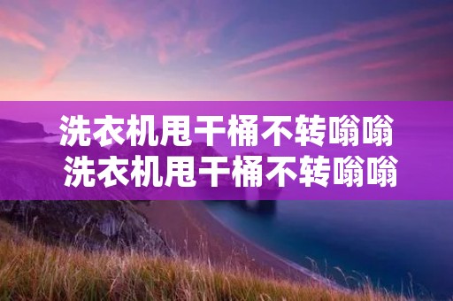洗衣机甩干桶不转嗡嗡 洗衣机甩干桶不转嗡嗡响