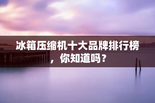 冰箱压缩机十大品牌排行榜，你知道吗？