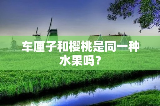 车厘子和樱桃是同一种水果吗？