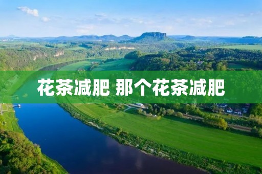 花茶减肥 那个花茶减肥