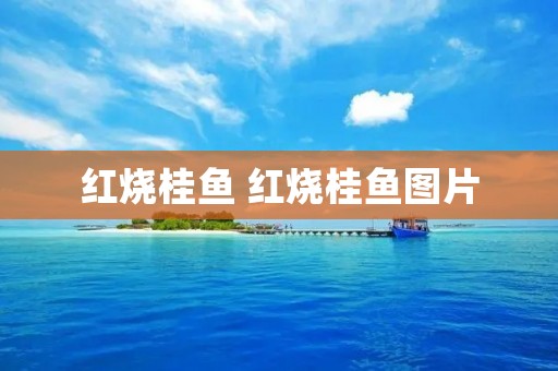红烧桂鱼 红烧桂鱼图片