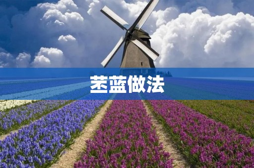 苤蓝做法：美味又健康的苤蓝菜怎么做？