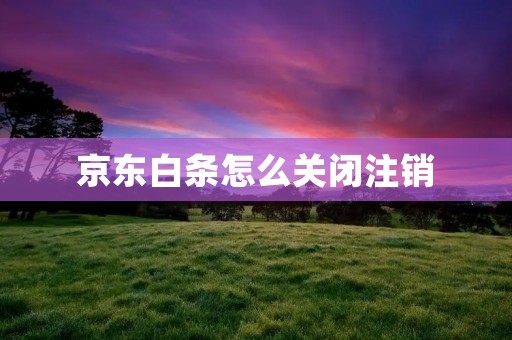 京东白条怎么关闭注销:详细操作方法 京东白条怎么关闭注销:详细操作方法