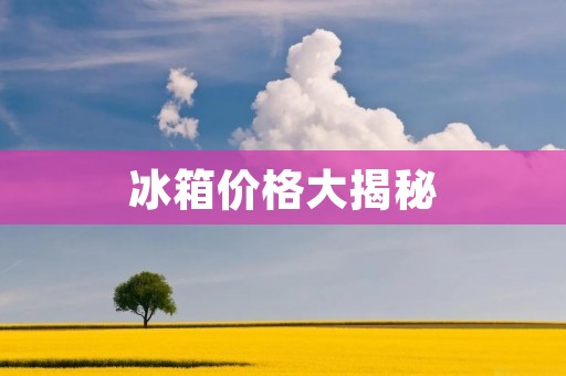 冰箱价格大揭秘：一台冰箱一般多少钱？