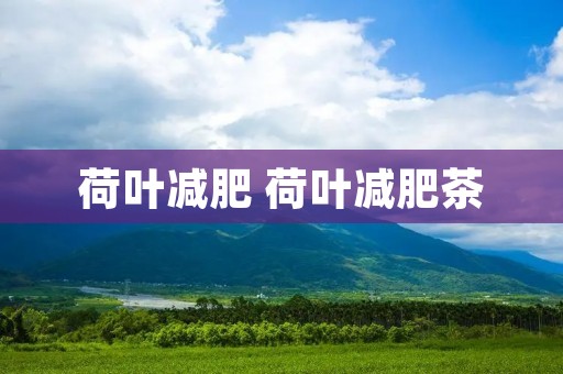 荷叶减肥 荷叶减肥茶
