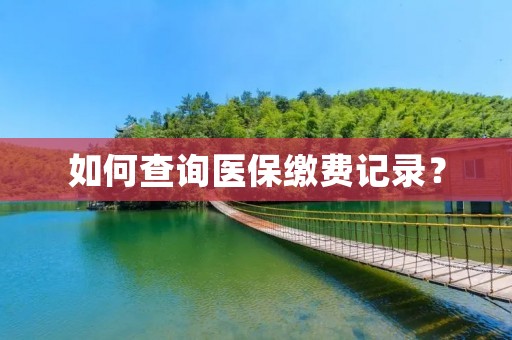 如何查询医保缴费记录? 如何查询医保缴费记录?