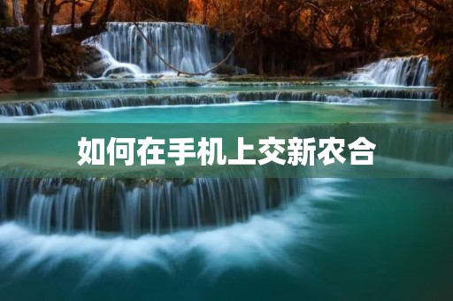 如何在手机上交新农合 如何在手机上交新农合