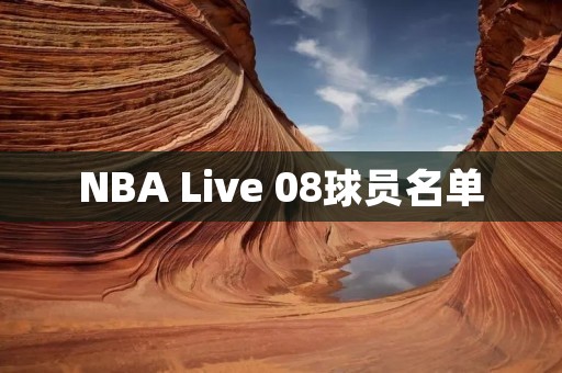 NBA Live 08球员名单：完整而详细的球员阵容