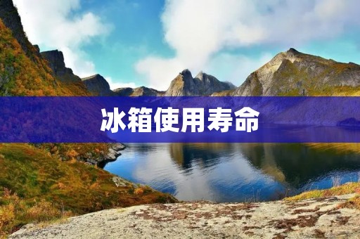 冰箱使用寿命：一般能使用多少年？