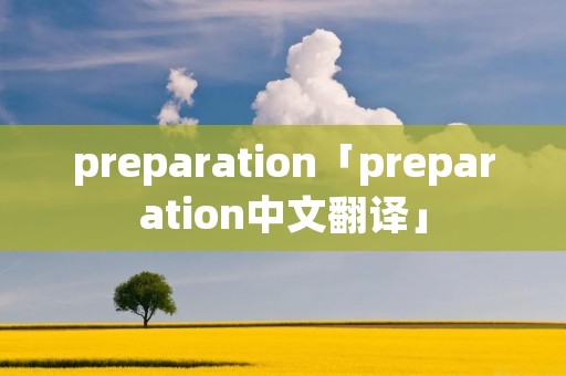 preparation「preparation中文翻译」