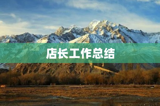 店长工作总结:从管理到服务的全面提升