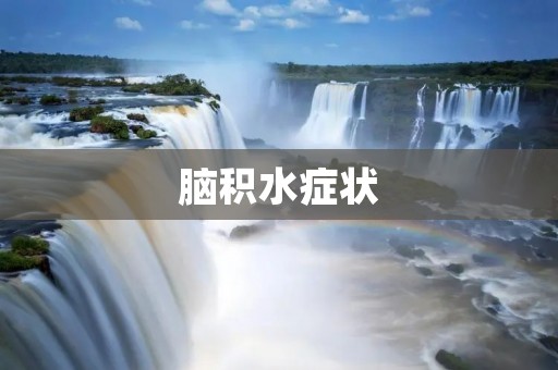 脑积水症状:了解这种危险疾病的迹象 脑积水症状:了解这种危险疾病的迹象