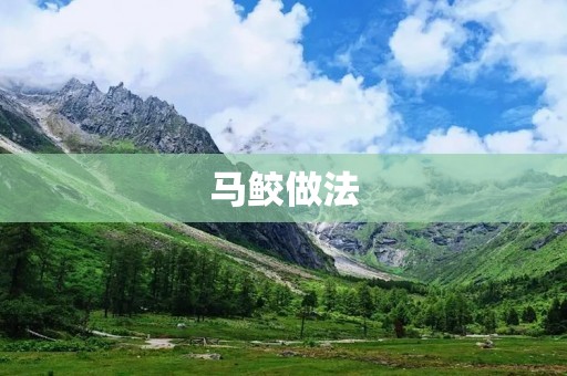 马鲛做法：美味佳肴的制作方法