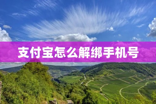 支付宝怎么解绑手机号：详细步骤解析