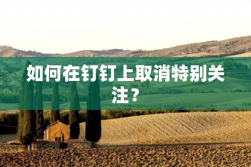 如何在钉钉上取消特别关注? 如何在钉钉上取消特别关注?