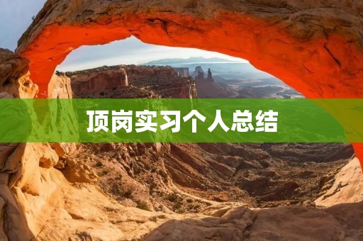 顶岗实习个人总结