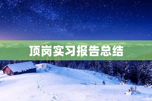顶岗实习报告总结
