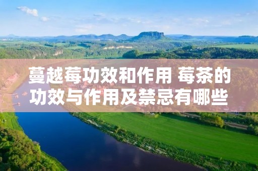 蔓越莓功效和作用 莓茶的功效与作用及禁忌有哪些