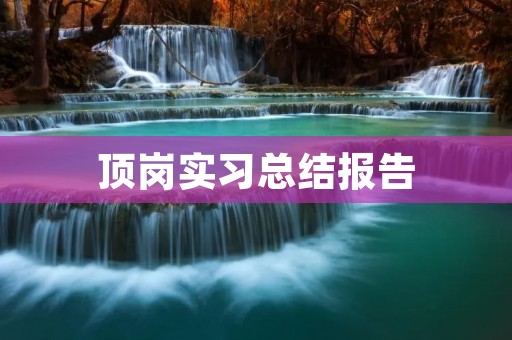 顶岗实习总结报告