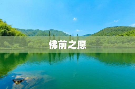 佛前之愿：走向内心的平静