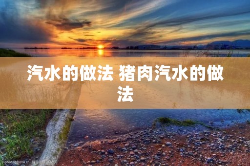 汽水的做法 猪肉汽水的做法