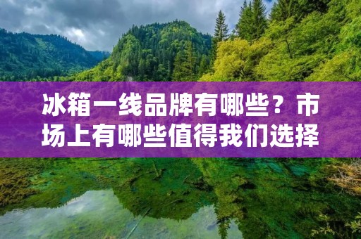 冰箱一线品牌有哪些？市场上有哪些值得我们选择的品牌呢？今天我们就来一起了解一下。