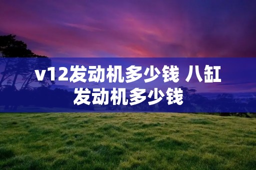 v12发动机多少钱 八缸发动机多少钱
