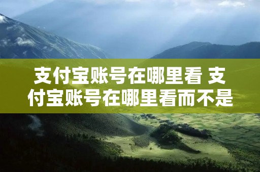 支付宝账号在哪里看 支付宝账号在哪里看而不是手机号