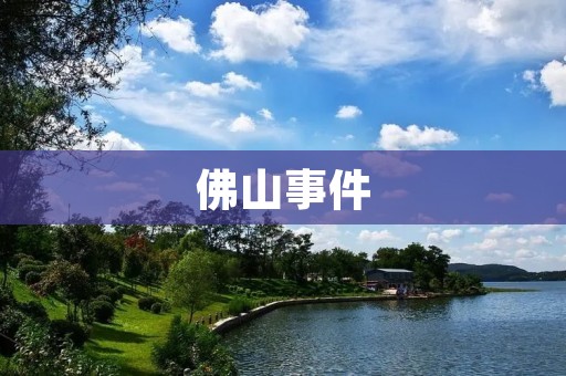 佛山事件:一场透露着社会问题的悲剧 佛山事件:一场透露着社会问题的悲剧