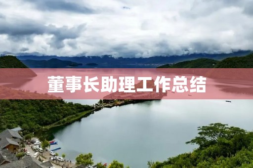 董事长助理工作总结