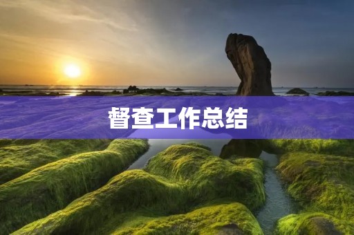 督查工作总结:不断提升监管水平