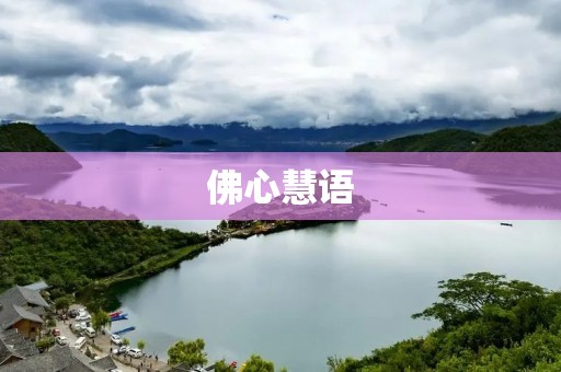 佛心慧语：道德经中的智慧