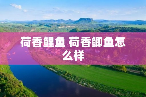 荷香鲤鱼 荷香鲫鱼怎么样 荷香鲤鱼 荷香鲫鱼怎么样