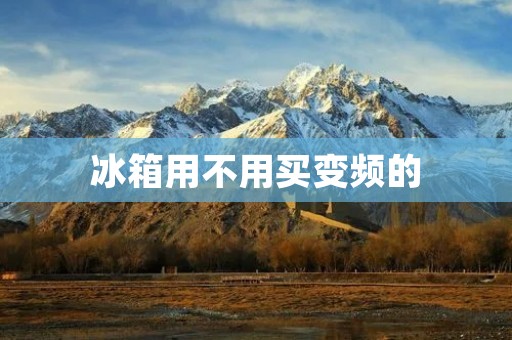冰箱用不用买变频的:为什么变频技术的冰箱更值得购买? 冰箱用不用买变频的:为什么变频技术的冰箱更值得购买?