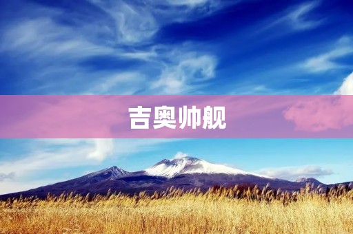 吉奥帅舰:中国海军的新力量 吉奥帅舰:中国海军的新力量