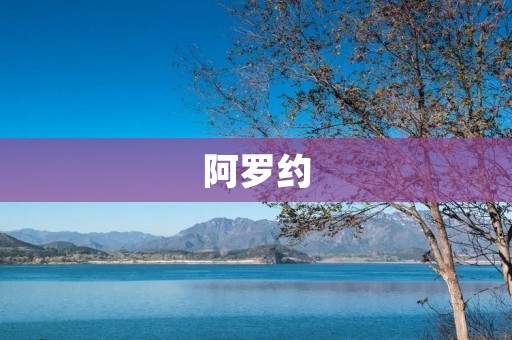 阿罗约：NBA历史上的传奇球员