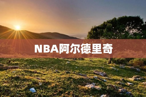 NBA阿尔德里奇：一个让人欣赏的球员