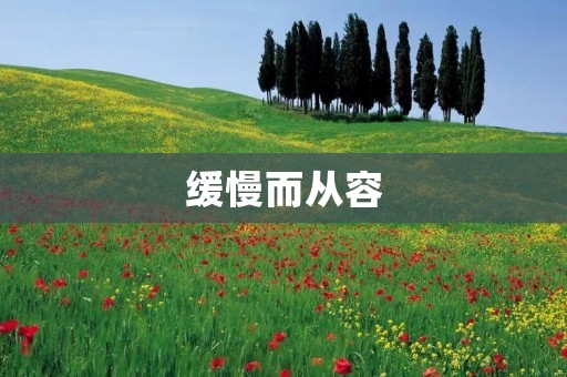 缓慢而从容：惊慌的反义词