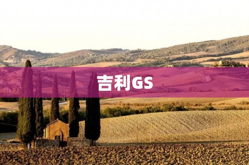 吉利GS：品质升级，领先未来