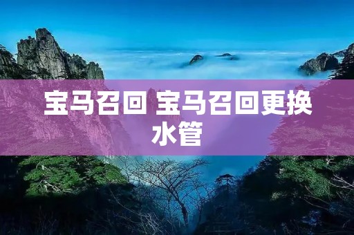 宝马召回 宝马召回更换水管