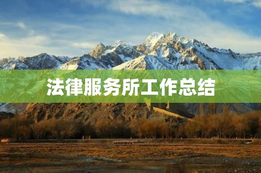 法律服务所工作总结